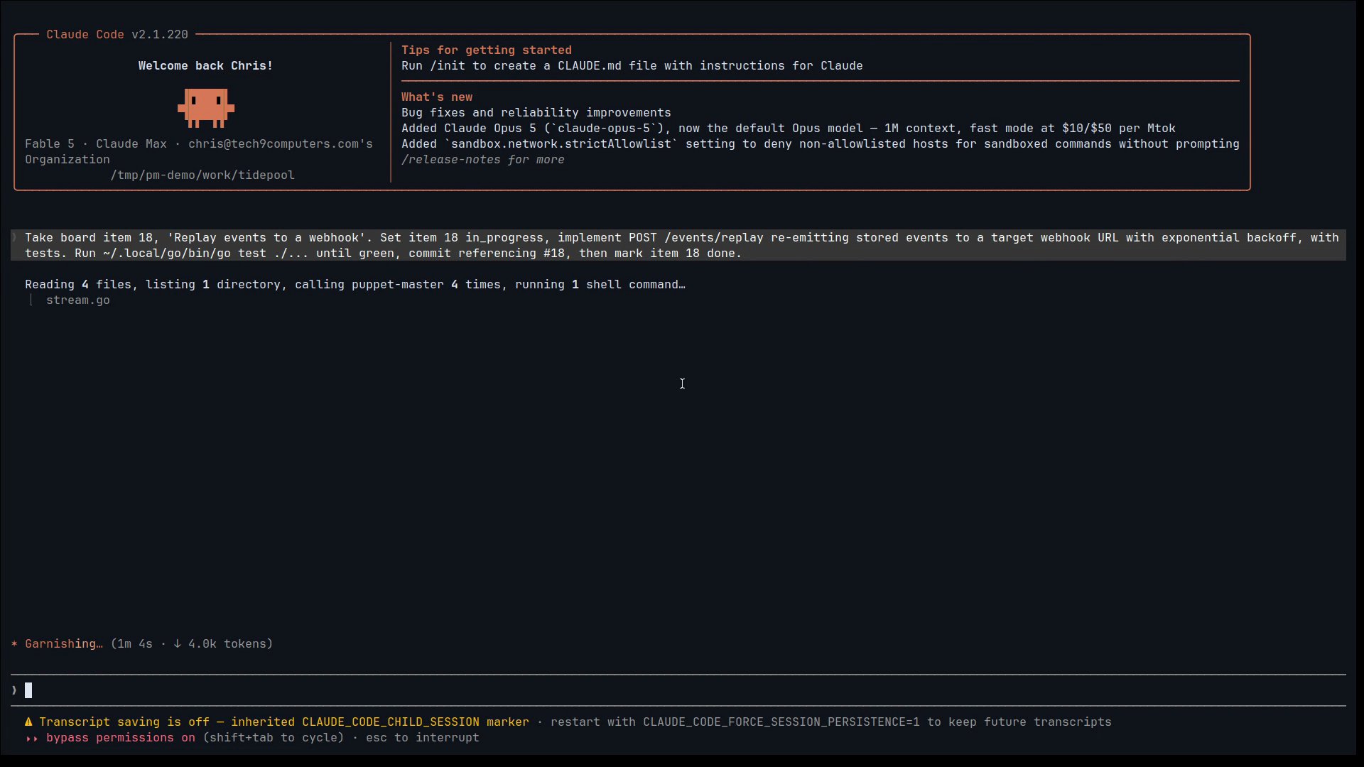 pm attach showing a live agent in a plain terminal